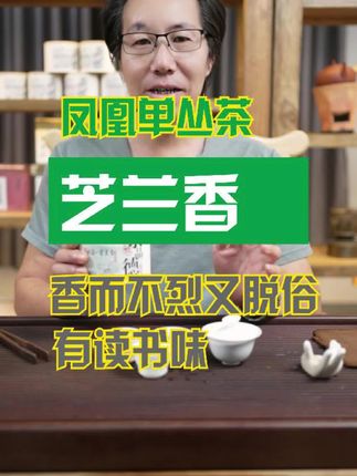兰香清幽的芝兰香#单丛茶组合 #茶知识 #潮汕生活小知识
