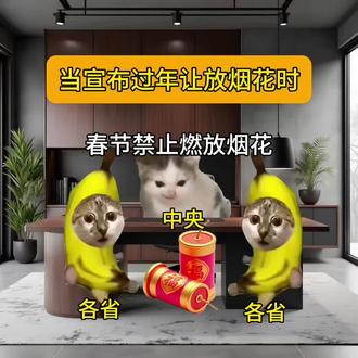 放烟花!!!
#热门 #猫meme #过年 #搞笑 #意想不到的结局