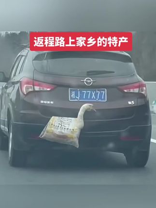 #开车注意安全 返程路上来自母亲的爱,#国庆假期被安排明白了 #高速行车安全