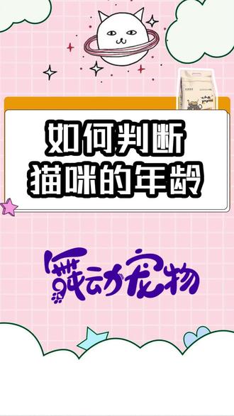 刚捡到的小奶猫,如何判断猫咪的年龄#养猫用品推荐 #猫粮 #平价宠物用品推荐 #宠物食品 #猫条