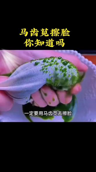 马齿苋护肤#马齿苋 #马齿苋的功效