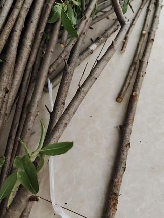 干啥啥不行的,要相信相信的力量#国学文化 #宝宝频繁夜醒怎么办 #走夜路必备神器 #桃木枝