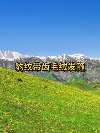 #秋冬新款 #发箍这样戴好美