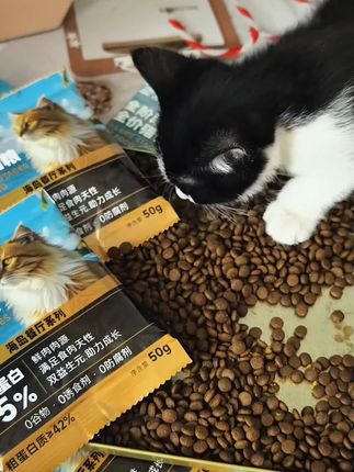 养猫人赶紧来薅。#养猫新手 #吃货猫 #养猫人 #宝藏船长 #猫粮