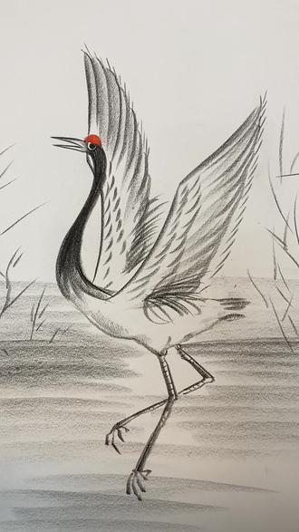 丹顶鹤#炭笔#炭笔画#炭笔风景#绘画