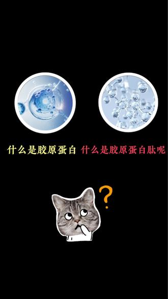 搞不懂胶原蛋白 vs 胶原蛋白肽?农资人必看!小郑一句话讲透 #农户必看科普 #种地选肥小知识 #胶原蛋白肽种地 #农资营养科普 #三农干货分享