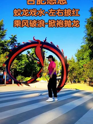 健身龙#拼色彩带龙#多种颜色可选 单独和全套#健身打卡 #传统文化 @抖音小助手