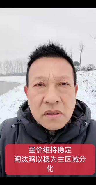 蛋价是个宝,养鸡致富少不了