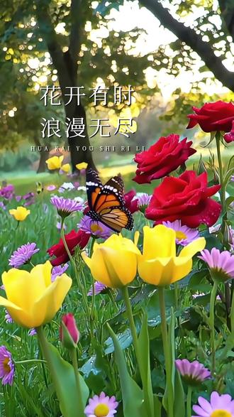 2026,拥有一本满是花儿的日历,花开有时,浪漫无尽。#花语#日历#手绘#2026