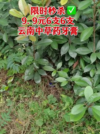 给大家带来牙膏福利啦,9块9到手6盒,需要的哥哥姐姐叔叔阿姨们可以放心拍!#好物推荐🔥 #唐三妹 #云南阿奎 #牙膏 #牙膏推荐