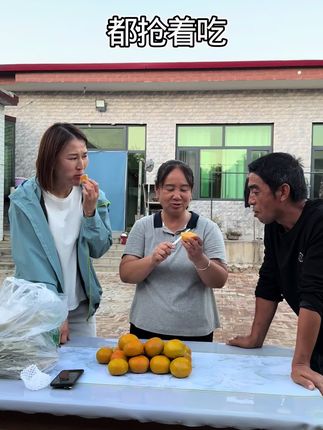 山西阳丰巧克力脆柿子,脆甜多汁,不涩好吃#巧克力脆柿子又脆又甜又多汁 #妯娌俩的农村生活