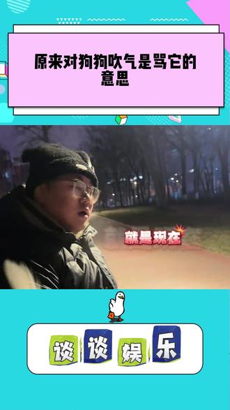 原来对狗狗吹气是骂它的意思