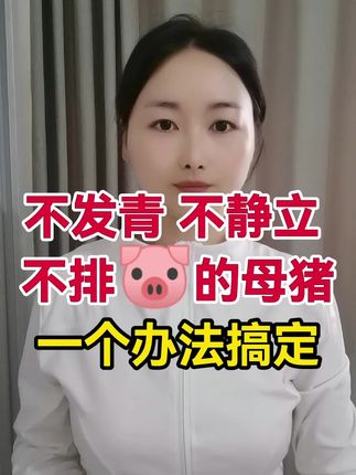 母猪不发青不静立#母猪不发青#科学养猪 #自繁自养母猪 #所有养猪人