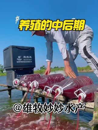 #水产养殖技术#鱼虾蟹养殖 #四大家鱼养殖