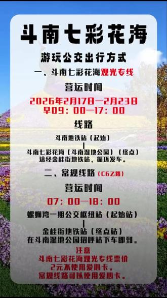 斗南七彩花海 #斗南七彩花海 #斗南