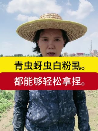 地上地下害虫都能用,瓜果蔬菜,蚊虫蚂蚁庭院都能使用#高效氯氟氰菊酯 #功夫菊酯 #杀虫剂