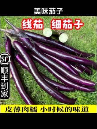 #好物推荐🔥 #茄子 #美食 #内容启发搜索