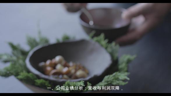 解读分析一家公司 茂业商业600828