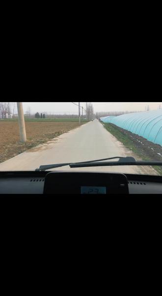 看完飞驰人生3的后遗症#飞驰人生