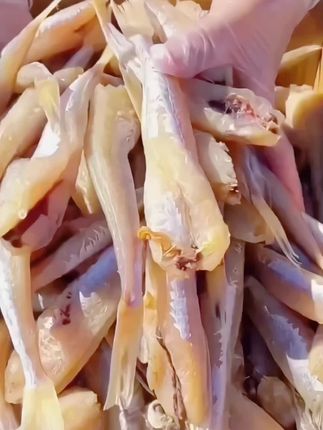【到手1斤】小鱼干红娘鱼干红头鱼干风干去头半干小咸鱼山东咸鱼#好吃不贵经济实惠 #好吃到停不下来 #好物推荐🔥 #好东西一起分享 #红娘子鱼