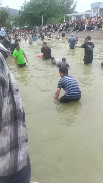 岜蒙风流街免费抓鱼,抓多少拿多少