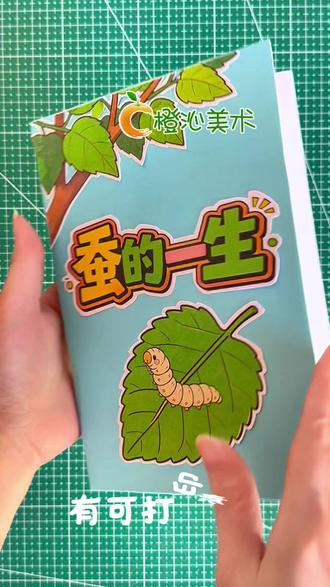 蚕的一生翻翻书 蚕的一生翻翻书#蚕的一生翻翻 #蚕的一生绘本 #蚕的一生 #电子版线稿 #蚕宝宝成长记