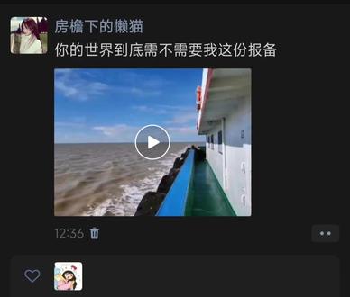 你的世界到底需不需要我这份报备 #张凌赫