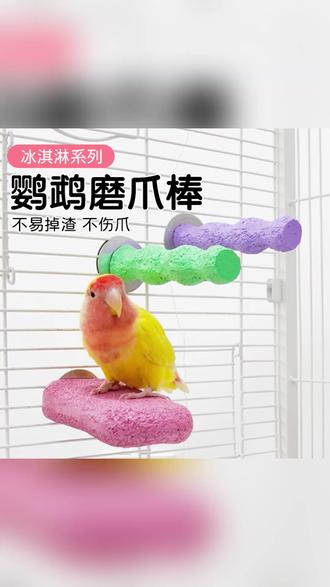 奇妙妙鹦鹉站杆磨爪棒啃咬玩具多功能鸟笼配件 #鹦鹉玩具 #鸟笼配件 #磨爪站杆 #宠物鸟用品 #鸟类啃咬玩具