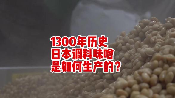 味噌是日本的传统调味料,既能做成汤,又可以与肉类烹煮成菜,还能做成火锅汤底和火锅蘸料。味噌起源于中国,隋唐时期传入到了日本,距今已有1300年历史,我们的日本研学团来到日本爱知县杉浦酿造所,看看他们的红味增是如何生产的!如果你有兴趣,我们可以一起出发!