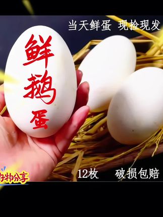 散养鹅蛋真的很好吃#好物推荐🔥 #鹅蛋