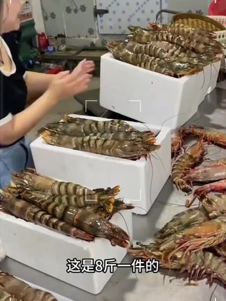 #吃海鲜 #黑虎虾 #快来一起尝个鲜 #好货推荐 #海鲜大咖