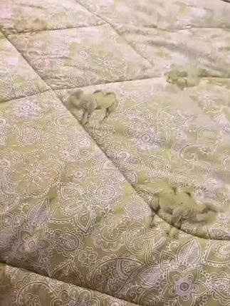 保暖速热棉被驼纤维被子加厚冬被春秋被单人学生宿舍棉被双人被芯