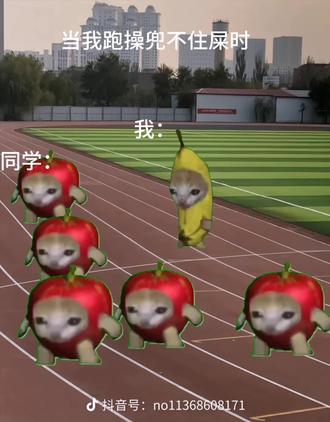 #小猫meme第二集
做的不好,轻点喷