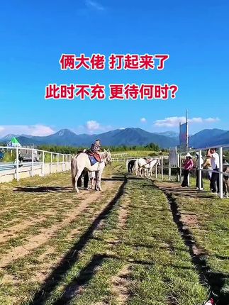 #快来看看 #旅游 #山上美景 #去哪玩 #骑马