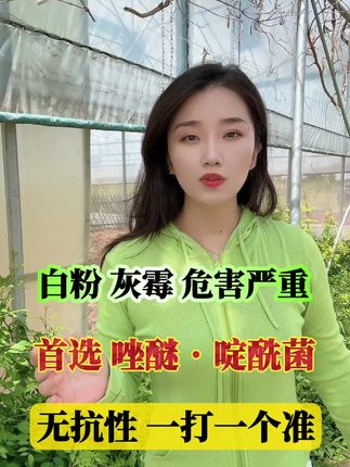 #农业主播周玲 #唑醚啶酰菌 #白粉病 白粉病菌核病灰霉病就用它