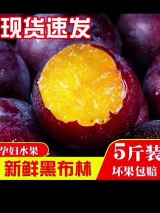 新鲜采摘正宗陕西黑布林大李子,脆甜可口,特别好吃!#黑布林 #口感特别好 #新鲜采摘  #又脆又甜 #李子