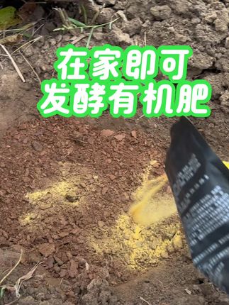 在家即可发酵有机肥 水不能过大,50%即可#发酵有机肥 #菜子饼发酵 #发酵肥料 #发酵剂#三农