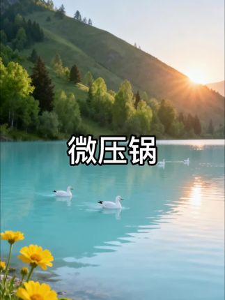 微压锅#爱了爱了 #幸福感 #方便又实用 #居家好物#好物推荐🔥