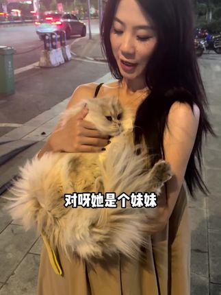 小妹妹是挺可爱的 #小猫咪能有什么坏心眼