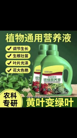 【养花通用浓缩型】植物专用营养液 水培专用营养液 快速生根液#园艺营养液 #果蔬专用营养液 #植物专用营养液