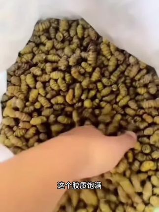 云南小粒石斛 胶质饱满 煲汤煮水 火锅底料250克起