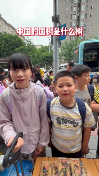 中国的国树是什么树? #真实生活分享计划 #摆摊 #街头采访 #知识分享 #学生