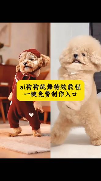 宠物跳舞ai生成特效制作教程入口!小狗ai特效 ai宠物跳舞 宠物ai跳舞一键生成 小孩跳舞ai生成 小狗跳舞ai特效入口#宠物AI跳舞 #AI宠物跳舞视频 #剪映 宠物ai跳舞生成 宠物ai跳舞软件 ai宠物跳舞视频生成 免费ai跳舞视频生成软件#萌宠跳舞AI 宠物跳舞ai教程 ai跳舞生成 宠物ai跳舞 狗狗ai生成跳舞 宠物ai跳舞视频指令 宠物AI跳舞一键生成#醉小狗跳舞AI ai跳舞一键生成入口 醉小狗跳舞ai生成教程 萌宠跳舞ai怎么制作的 宠物ai特效生成教程 ai小狗跳舞生成口令 ai一键生成视频宠物