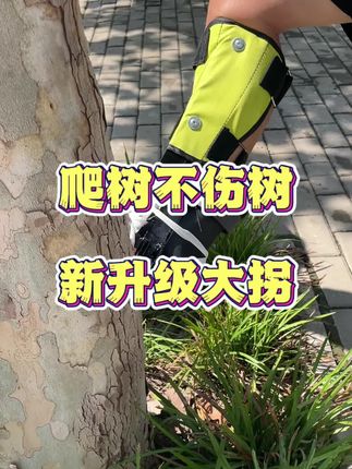 新升级爬树大拐,爬树不伤树,穿戴牢固,防滑防侧翻#爬树 #爬树神器 #爬树工具 #爬树大拐 #爬树摘果
