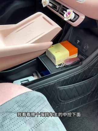 #比亚迪海鸥 的这款双层储物盒可太实用了,让每样随车高频使用物品都有自己的专属位置,上下分层的设计,告别杂乱无章,海鸥的车友赶紧安排上! #车载用品 #车内整理 #出行好物 #汽车配件