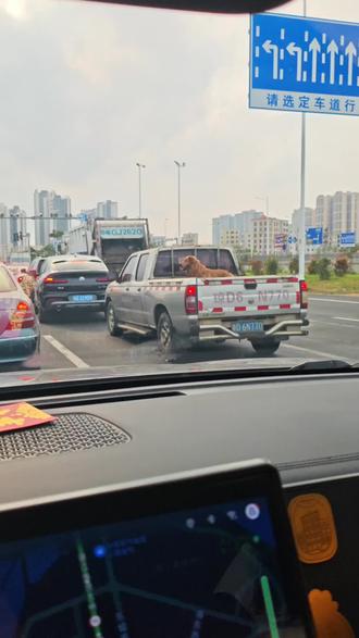 #湛江查车 #车牌 #湛江电动车上牌
4月1号就要严查无证无牌驾驶了,大家不要抱有侥幸心理哦,会被罚钱的