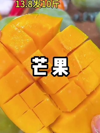 凯特芒果大丰收,便宜给你发一箱!#凯特芒果 #攀枝花芒果 #现摘现发 #新鲜应季水果