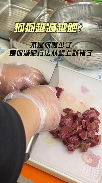 狗狗越减越肥?不是你喂少了,是你减肥方法从根上就错了! #狗#狗饭自制#狗饭#狗饭食谱#狗是人类最忠诚的朋友