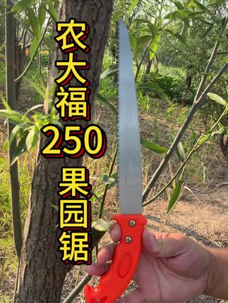 果树修枝盆景修剪,园艺花卉种植,选择农大福250果园锯,厂家推出的福利产品,价格低品质高#园林工具 #实用工具