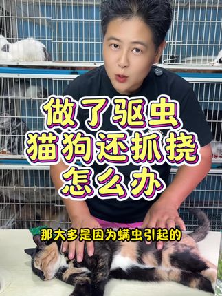 什么时候驱虫,怎么驱,室内养的猫狗做了驱虫还抓耳挠腮的,就试试可以驱螨虫的3代驱虫,温和全面使用方便,涂上就完事,不需要单独喂内驱了#驱虫 #猫咪驱虫 #狗狗驱虫 #萌宠好物 #养宠进阶指南